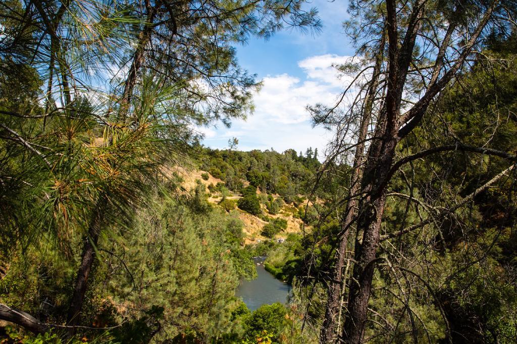 Russian River Camping Resort Cottage 7 Cloverdale Dış mekan fotoğraf